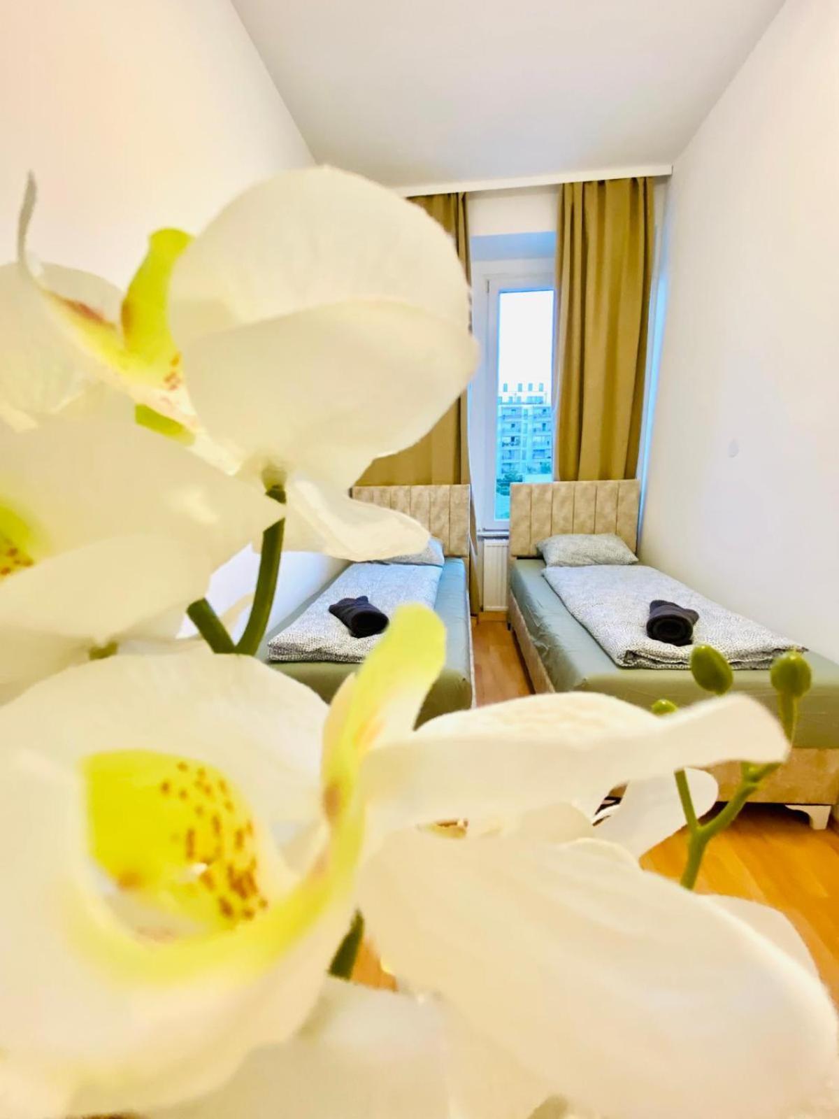 Bright 5Br Shared Apartment W Great Transport Link Viena Exterior foto
